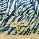 Coral Bay  Woman's Striped Golf Skort in blue and white. Size M Photo 4