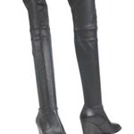 EUC Robert Clergerie Thigh Photo 0