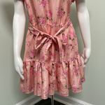 Love Shack Fancy  x target Cecile pink ruffle dress size 12 Photo 10