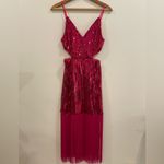 NWT Sequin Pink Fringe Cut Photo 3