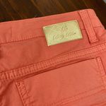 Elizabetta Franchi Betty Blue Orange Studded Shorts Size 26/2 Made in Italy Photo 4