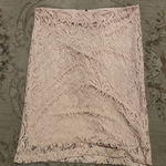 Adrianna Papell Blush Pink Lace Pencil Skirt Size XL Photo 0