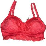 Cosabella NWT  Evereve Always Say Ever Padded Lace Bralette in Coral SMALL Photo 0