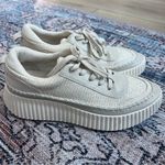 Dolce Vita Dolen Danae Sneakers Ivory Grey Sandstone Size 8.5 Platform Shoes Gray Photo 1