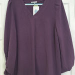 White Birch  Top Photo 0