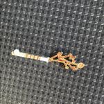 Gold Beaded Hair Clip magnetic closure Photo 1