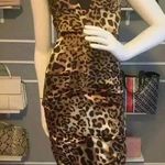Cache  Animal Print Leopard Formal Dresses for Women’s Size 4. D11 Photo 0