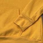 Champion Iowa Hawkeyes Hooded Sweatshirt Photo 10