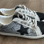 Vintage Havana Bianca Sneaker Grey Snakeskin Black Glitter Star 7 Gray Photo 0