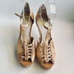 House of Harlow 1969 Laina Platform Pump Heels Natural Snakeskin Shoe Sz 7/eur37 Tan Photo 2