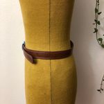 Target Women's brown belt Photo 2