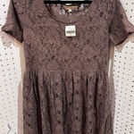 Altar'd State NEW Lace A Line Dress Mauve Taupe Short Sleeve Scoop Neck L Photo 0