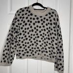 Madewell Leopard Dot Pullover Sweater Merino Wool Blend Size Small Photo 2