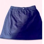 Talbots Navy Mini Skirt Photo 3