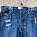 Loft  Boyfriend Distressed Classic Blue Denim Jeans size 30/10 Photo 2