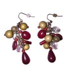 Multicolor Dangle Fish Hook Earrings Photo 0