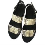 Vince 'Marett' Python Snakeskin Black White LEATHER Platform Size 7M Photo 1