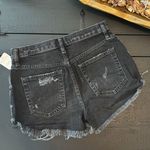 Free People Shorts Photo 1