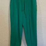 Summersalt New! The Pinktuck French Terry Tapered Joggers in Kelly Green Photo 0