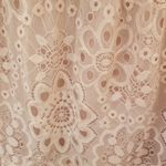 Dress the Population  River Lace Off the Shoulder Fit & Flare Dress Blush M NWOT Photo 7