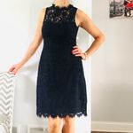 Eliza J Beautiful  lace dress Photo 11