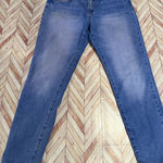 Special A  Womens Jeans Blue Denim 1XL 1X Skinny Stretch Cotton Blend Photo 0