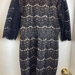 Darling London New Black Floral Lace Over Nude Lining Midi Dress A178 Size 14 Photo 0