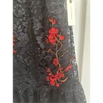 Nicole Miller NWT New York Anthropologie Sequin Midtown Lace Dress Dress Size 6 Photo 4