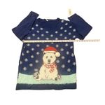 Notations NWT Christmas Holiday Ugly Sweater Womens Blue Polar Bear Snow Size XL Photo 3