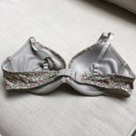 Aerie 34B Bridget Floral Push Up Bra Photo 1