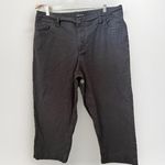 Toad&Co Pants Womens 18 Brown Earthworks Wide Leg Cropped Hiking Outdoors GORP Photo 1