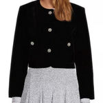 Antonio Melani x Born on Fifth Constance Button Front Woven Velvet Jacket Size 0 Photo 0