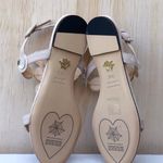 Charlotte Olympia NIB Semi-precious rhinestone suede flat Sandal 35.5 US 5.5 Photo 11