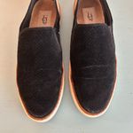 UGG  Women's Adley Perforated Slip-On Sneaker Size 8 Suede Black and Tan Preppy Photo 3