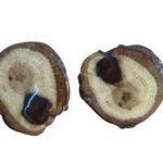 Handcrafted Wooden Tree Slice Earrings Stud Pierced OOAK Wood Ring Boho .75" New Brown Photo 0