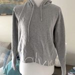 Calvin Klein Super Cute Gray Cropped Hoodie Photo 1