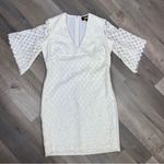 Alexia Admor  Lace Front Bell Sleeve Sheath Dress Small Ivory‎ White Half Sleeve Photo 12