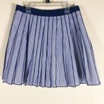 Vineyard Vines NWT  Mini Skirt Womens 00 Blue Poplin Stripe Knife Pleated Preppy Photo 2