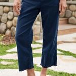 Frank & Eileen $298 Kinsale Italian Performance Linen Flax Size 4 Photo 0