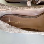 Gianvito Rossi  Suede Ankle-Wrap Ballerina Flat, Light Gray Photo 9