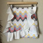 Tularosa Embroidered Mini Skirt Photo 1