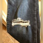 True Craft Skinny Overalls Photo 1