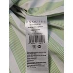 Anthropologie The Rhea Mini Shirt Dress by Exquise Large Green Bone Stripe Sz S Photo 11