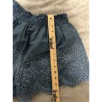 Smell The Roses  Blue Embroidered Shorts Size Large Floral Photo 7