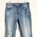 Pilcro Anthropologie  Distressed Crop Cotton Denim Jeans Photo 3