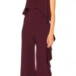 Alexis Kendall Ruffle Strapless Jumpsuit Wide Leg Plum Burgundy Boho Chic Size M Photo 0