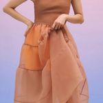 Anthropologie Oh Seven Days Organza Sheer Midi Dress, Size M Photo 3