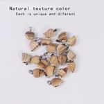 Picture Jasper Stone Heart Shape Pendant Natural Stone Pendant Silver Jewelry Photo 1