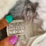 UGG  Fluff Yeah Slide Sandals Size 8 Gray Shearling Fuzzy Slippers Cozy Comfort Photo 4