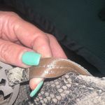 Tory Burch 
MILLER SLIDE SANDALS 
SIZE 8.5
NATURAL SUEDED ROCCIA PRINT Photo 4